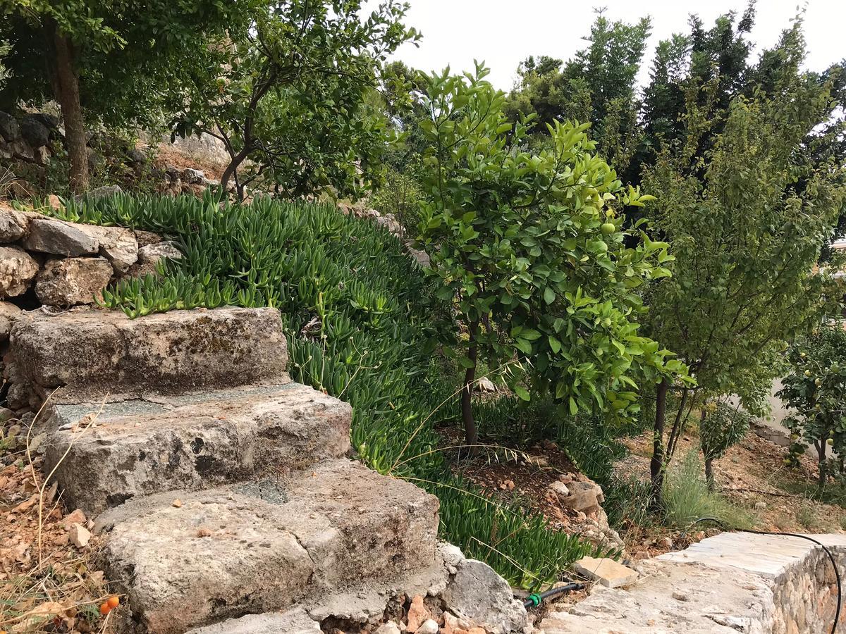 Katarina Apartments Kefalonia - Sea View Αργοστόλι Εξωτερικό φωτογραφία